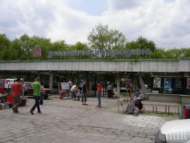 
Затварят Централния вход на зоопарка в София
