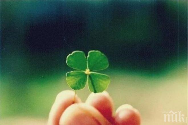 Късметлиите на годината! Небивал късмет очаква тези четири зодии