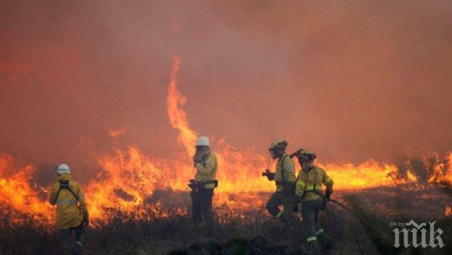 ОГЪН КРАЙ ХАСКОВО! Пламна вилната зона, пожарната едва се добра до огъня
