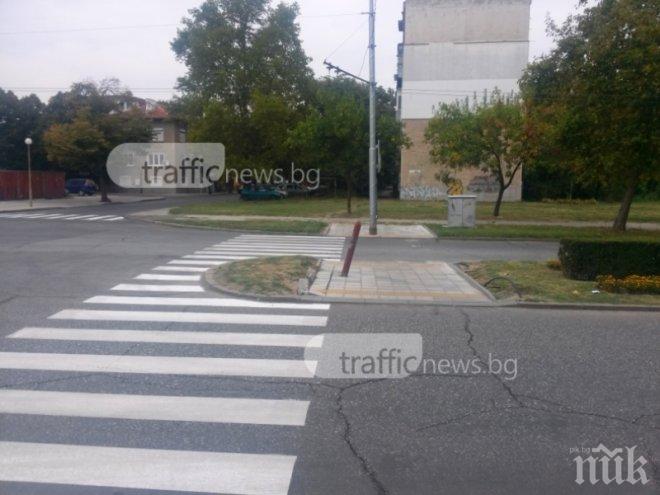 Висшият адвокатски съвет: Пешеходецът няма абсолютното право на зебра!
