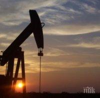 Добивът на петрол в Русия е нараснал с 2%