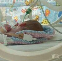 Семейството на захвърленото  в 