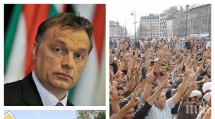 унгарците референдум мигрантите