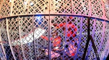 пик шестима млади мотористи вдигат адреналина глобуса смъртта