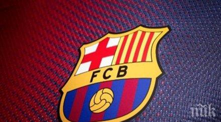 каза тер щеген грубата грешка емблематична фраза