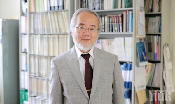 Японец получи Нобеловата награда за медицина