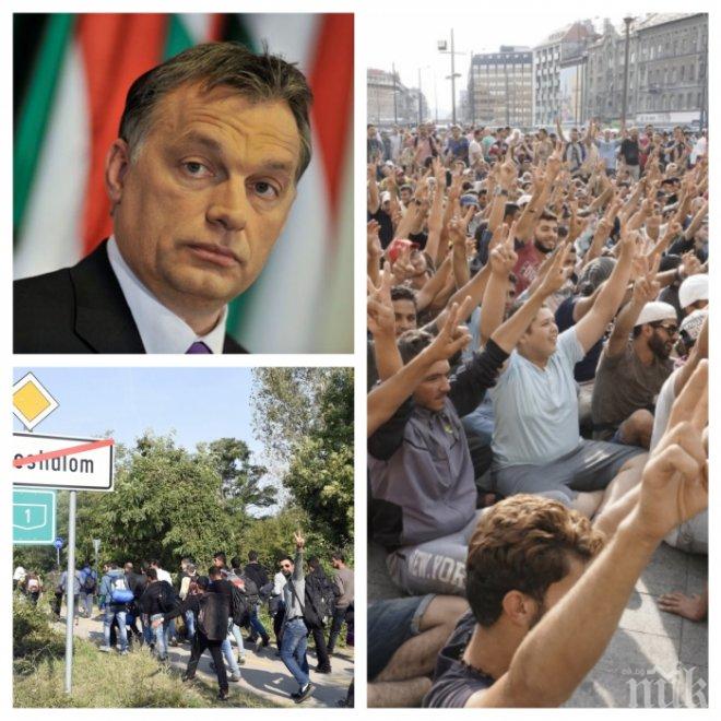 Унгарците на референдум срещу мигрантите