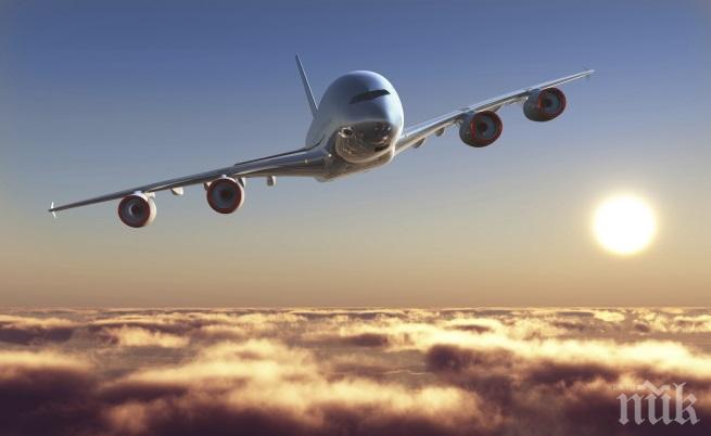 В Португалия забравиха товарач при багажите в самолета