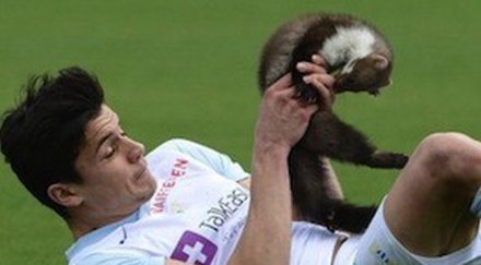 белка хапе футболисти време мач швейцария видео