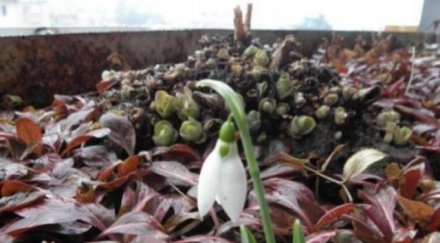 понеделник топло дъжд