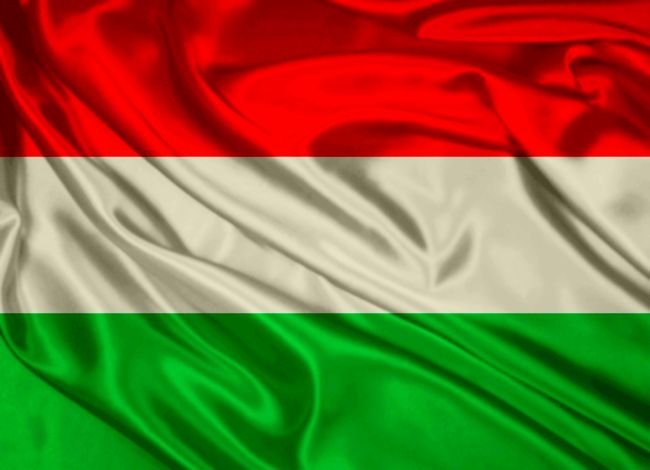 В Унгария искат нови промени в конституцията