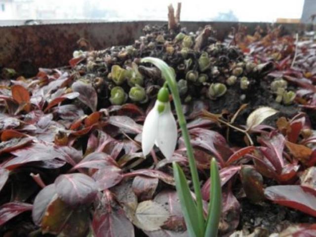 В понеделник - топло с малко дъжд