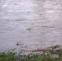 Труп на секач изплува от река край Чепеларе