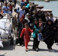 САЩ са приели почти 85 хиляди бежанци за една година