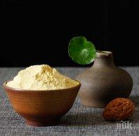 ЧУДО ОТ ПРИРОДАТА! Боровият прашец е уникален, съдържа 7 пъти повече протеин от говеждото месо