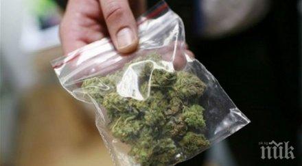 задържаха стража военен матрос отглеждал канабис