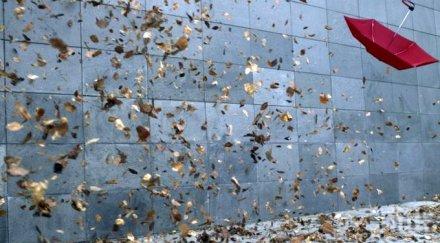 ураган връхлетя разлог стихията отвя фасадата високата сграда града