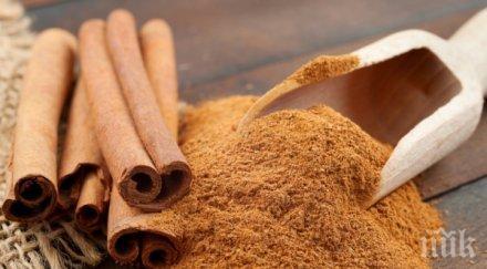 уникален лек канелата охлажда тялото градуса