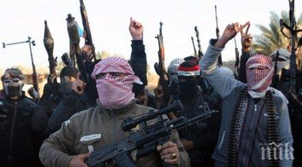 тунис бил задържан радикал заклел вярност