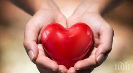 внимавайте разбива сърцето нещастната любов