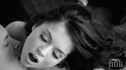 внмание пет знака лягаш