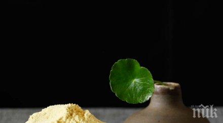 чудо природата боровият прашец уникален съдържа повече протеин говеждото месо