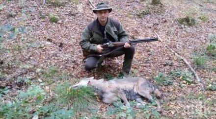 бизнесмен гръмна килограмова вълчица берковския балкан