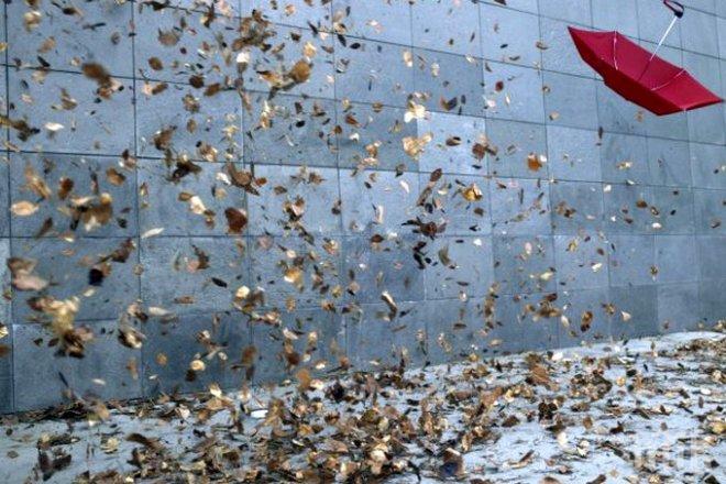 Ураган връхлетя Разлог! Стихията отвя фасадата на най-високата сграда в града