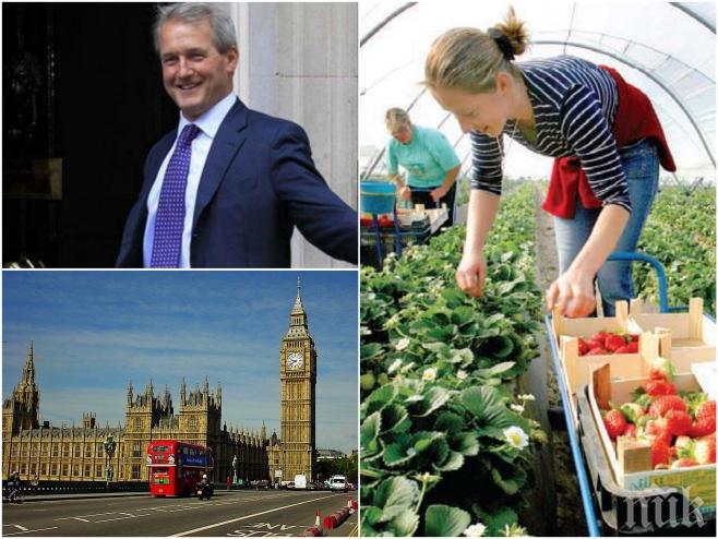 БУРНА РЕАКЦИЯ! Българите на Острова скочиха на скандалния депутат с идиотското изявление, че не могат да боравят с мобилни телефони