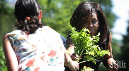 мишел обама извади последно картофите градината белия дом