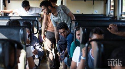 лидер партия германия сравни мигрантите тор