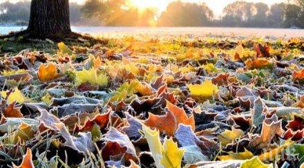 времето неделя