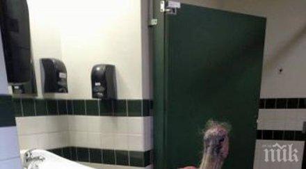 умен щъркел скри тоалетна урагана матю