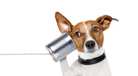 думи изхвърлите речника