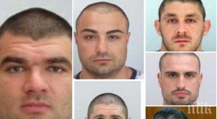 двама групата божо кравата излизат свобода