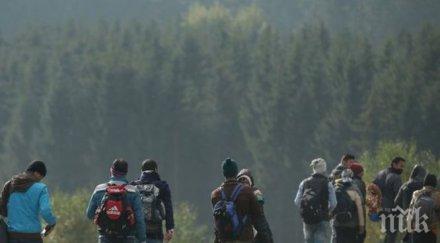 лекари без граници млн души напуснаха сирия