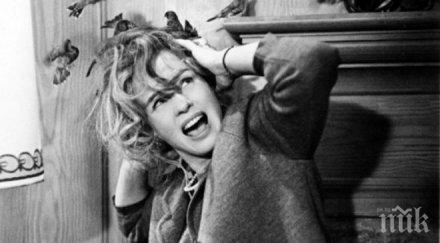 безобразие банките кълват птиците хичкок