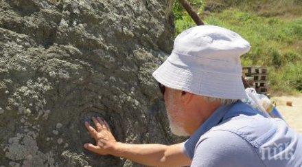 българин откри шифъра загадъчната тайна богомилите