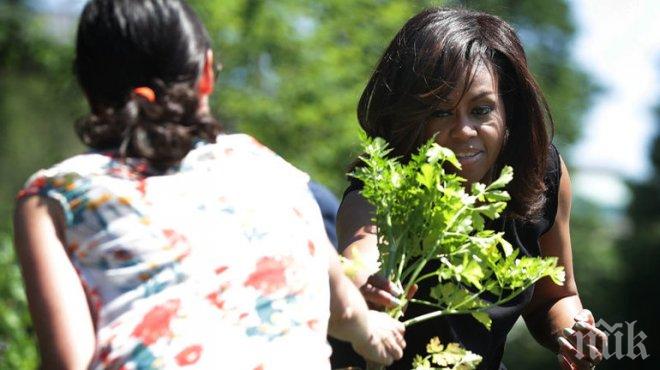 Мишел Обама извади за последно картофите от градината на Белия дом