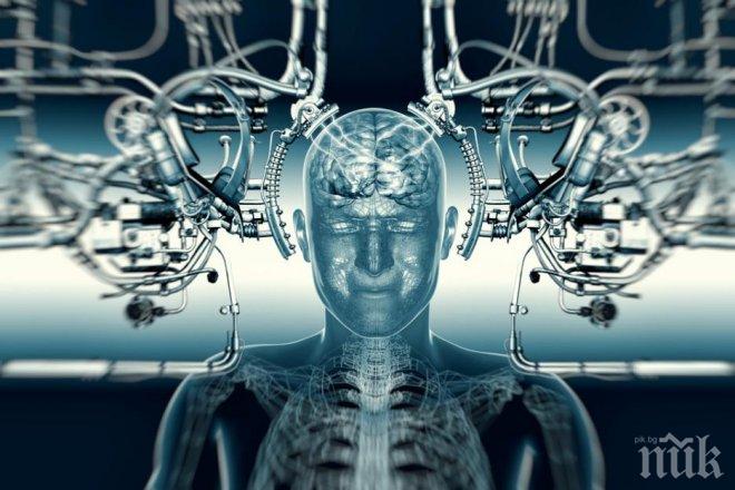 
Няма да поумнеете така! Ето ги най-големите митове за интелигентността 