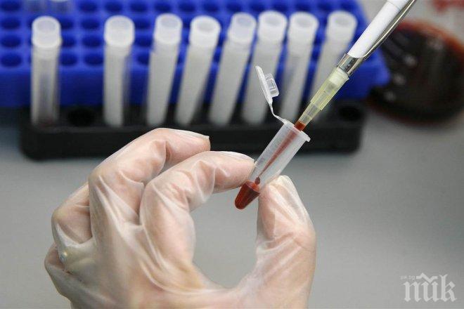 Лъч надежда: Открит е хвойнов цяр срещу левкемията