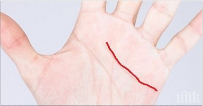 Ако имаш тази линия на ръката си, то ти си един много щастлив човек, защото: 