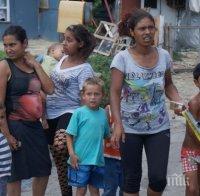 Циганско меле! Вадят се бухалки и ножове в общински приют