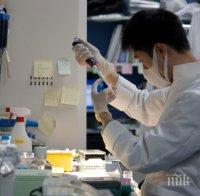 ПРОБИВ! Стволови клетки може да подобрят функцията на сърцето след инфаркт