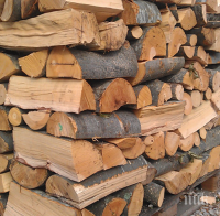 Омбудсманът: Цените на дървата скочиха с близо 100% от май насам
