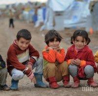 Великобритания прибира сираци от 