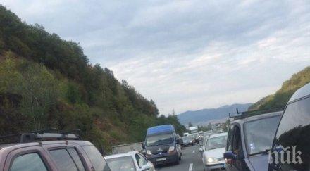 ограничават движението хемус