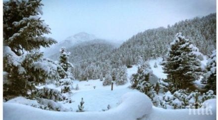 снежна пелена покри италия снимки