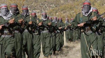 турската армия убила 417 членове пкк