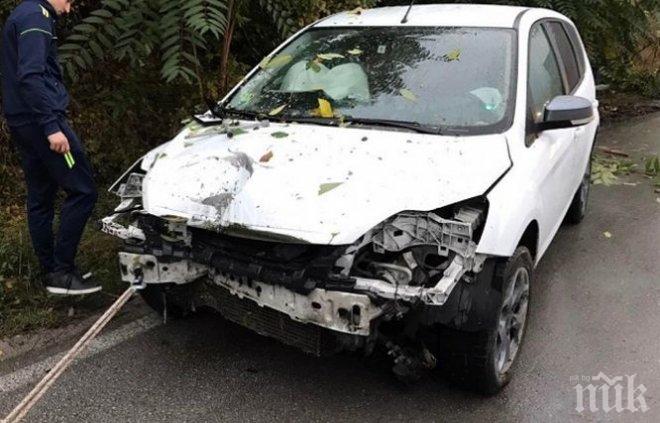 „Форд Фокус“ се размаза край Мездра заради куче